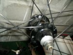 PB120091.jpg