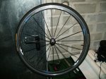 PB120089.jpg