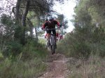 salida 16-01-10 027 [Desktop Resolution].jpg