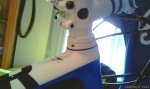 IMAG0423.jpg