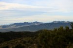 IMG_7517_resize.JPG