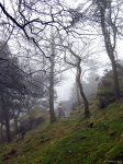 DSCN7082.jpg