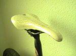 PIC_0293.JPG