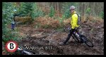 DSC05301.jpg
