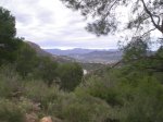 DSCN4209_1024x768.jpg
