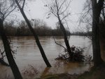 DSCN4336.jpg