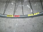 SANY0390.jpg