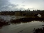 DSC00093.JPG
