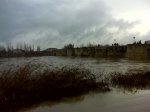 DSC00094.JPG