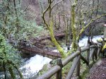 DSC00215.JPG