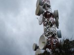 DSC09049.jpg