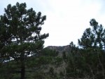 DSC09033.jpg