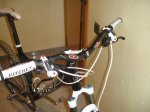 DSC07260.jpg