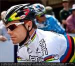 tdu10st00-cattle.jpg