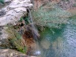 18012010_003.jpg