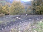 Imagen022.jpg