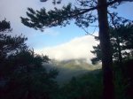 Foto9.JPG
