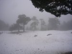 Foto25.JPG