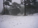 Foto29.JPG