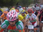 fotos_elche_dsc02900.jpg