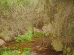 DSCN5318.JPG