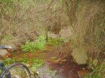 DSCN5307.JPG