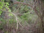 DSCN5317.JPG