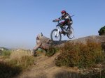 salto tronco.jpg