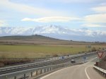 DSC03528.jpg
