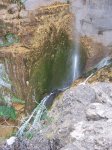 100_3922.jpg