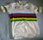 maillot santini campeon del mundo.JPG