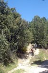 DSC03774.jpg