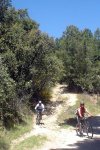 DSC03775.jpg