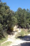 DSC03773.jpg