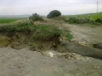 12Image00003.jpg