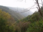 PC080050.JPG