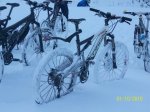 100_4302.jpg