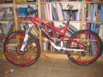 stumpjumper3.jpg