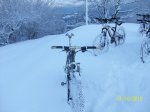 100_4296.jpg