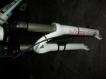 SANY0614comp.jpg