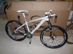 ORBEA_ALMA_001.jpg