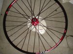 DSC07494.JPG