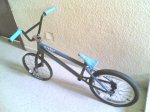Bicicletiforme (1).jpg