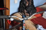 DSC_0013.jpg