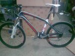 specialized 001.jpg