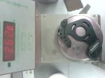 DSC05972.jpg
