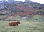 IMG_8745.JPG
