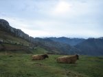 IMG_8746.JPG