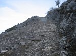 IMG_8758.JPG