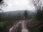 PICT0065.jpg